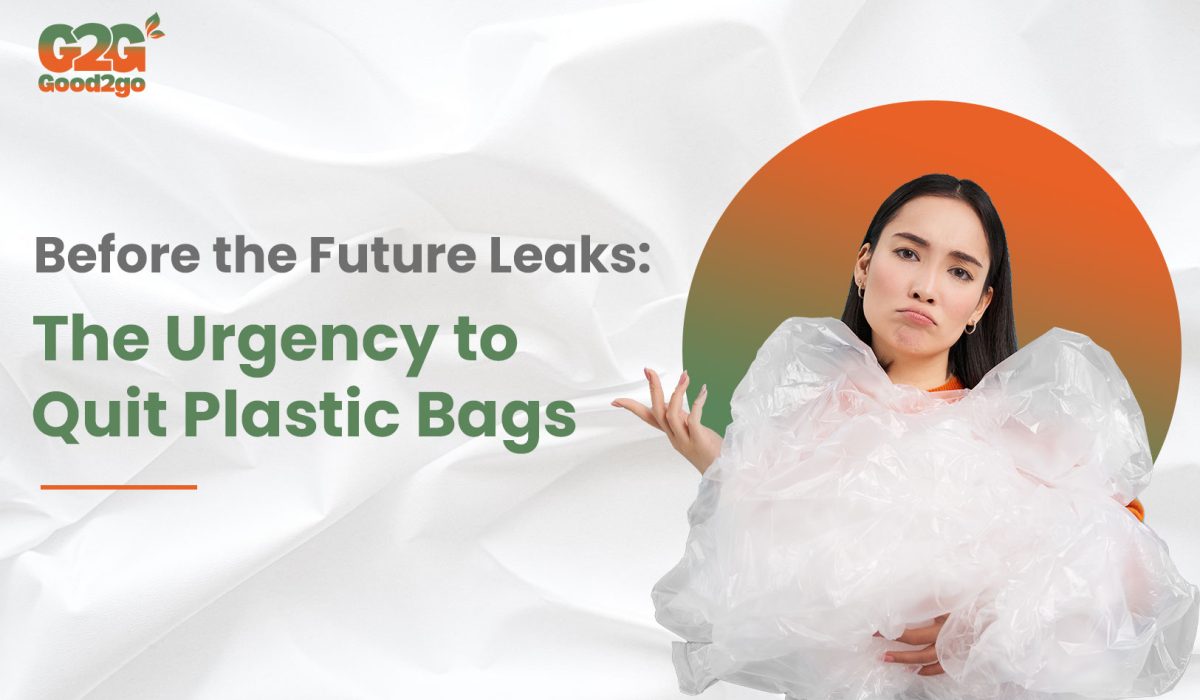 Before the Future Leaks- The Urgency to Quit Plastic Bags