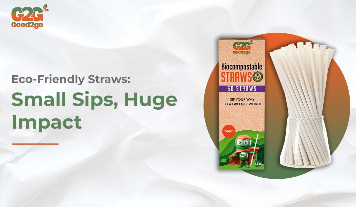 Eco-Friendly Straws- Small Sips, Huge Impact