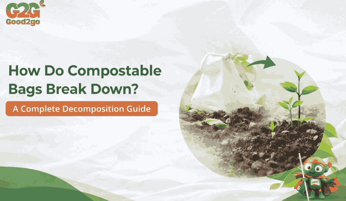 How Do Compostable Bags Break Down? A Complete Decomposition Guide